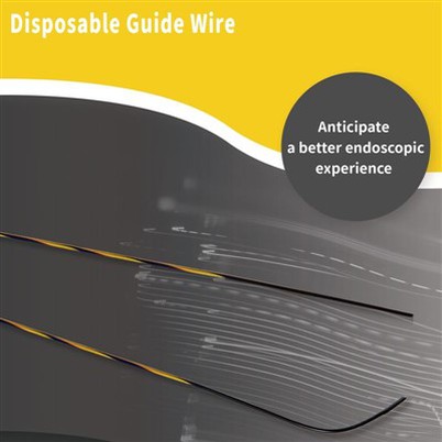 Wayar Panduan Endoskopi Fleksibel